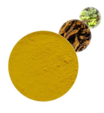 Berberine HCL - Herbal Extracts Products