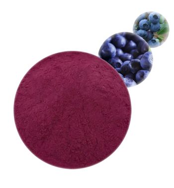 Bilberry (Vaccinium myrtillus L.) Fruit Extract - Herbal Extracts Products