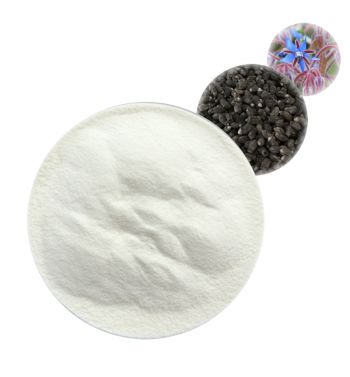 Borage Oil Powder - Herbal Extracts Products