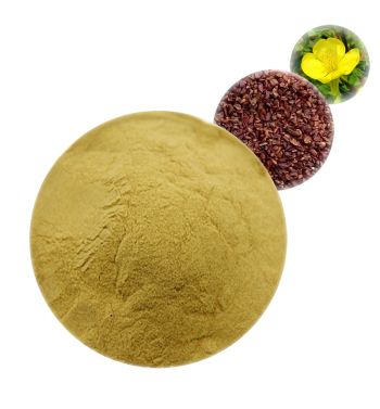 Evening Primrose Powder - Herbal Extracts Products