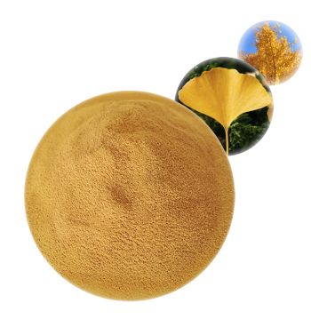 Ginkgo Biloba Extract - Herbal Extracts Products