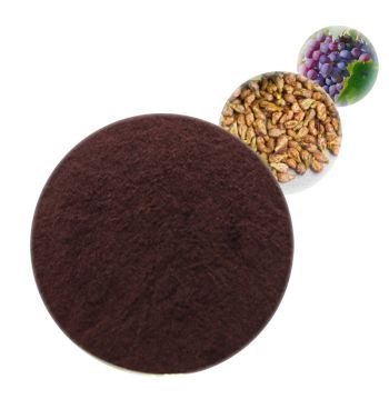 Grape Seed Extract - Herbal Extracts Products