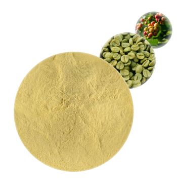 Green Coffee Bean Extract - Herbal Extracts Products