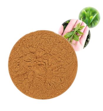 Green Tea Extract (Polyphenol) - Herbal Extracts Products