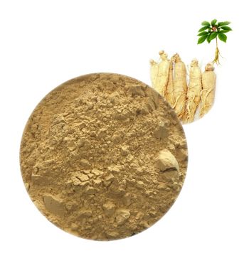 Panax Ginseng Extract - Herbal Extracts Products