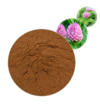 Red Clover Extract - Herbal Extracts Products