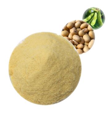 Soy Lecithin - Herbal Extracts Products