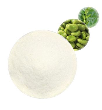 Fava Peptides - Plant Proteins