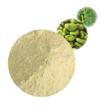 Fava Protein - Plant Proteins