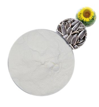 Sunflower Powder - Plant Proteins